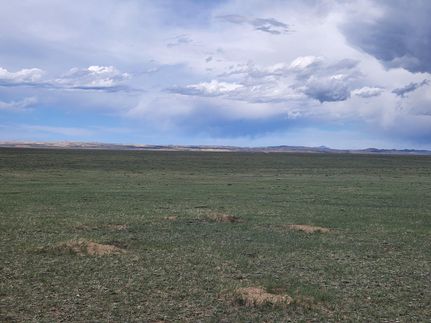 Farm and Ranch in Albany County, Wyoming