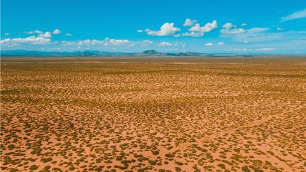 Undeveloped Land in Luna County, New Mexico