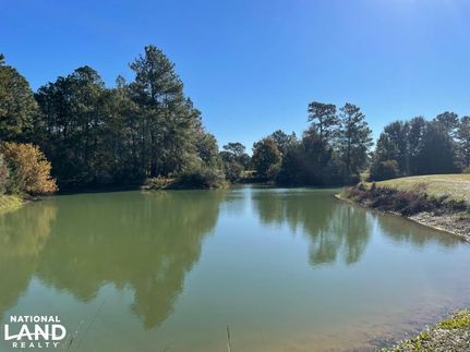Horse Property in Williamsburg County, South Carolina