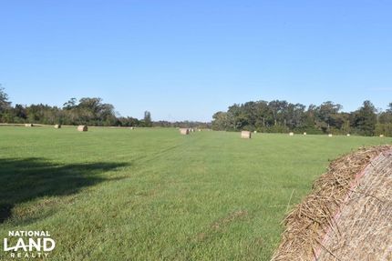 Recreational Property in East Feliciana Parish, Louisiana