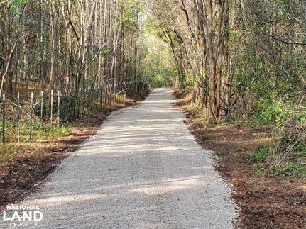 Recreational Property in Lauderdale County, Alabama