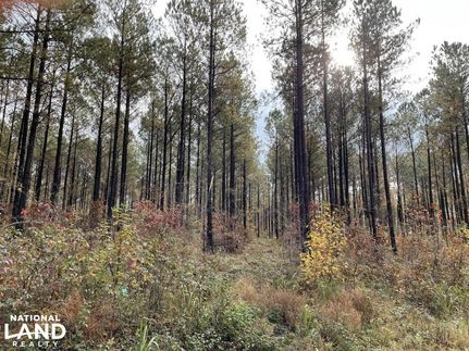 Land in Henderson County, Tennessee