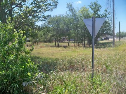 Undeveloped Land in Eastland County, Texas