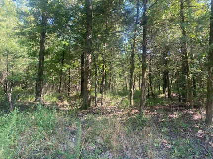 Undeveloped Land in Latimer County, Oklahoma
