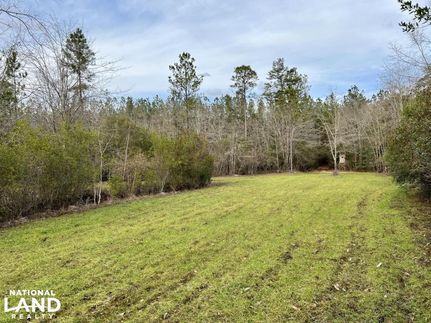 Commercial Property in Conecuh County, Alabama