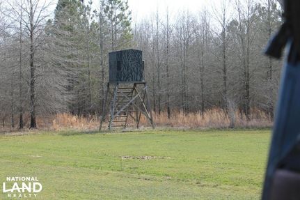 Timberland Property in Catahoula Parish, Louisiana