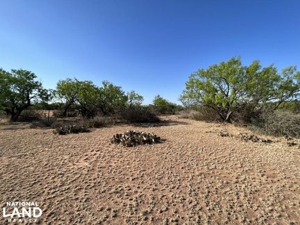 Recreational Property in Coke County, Texas