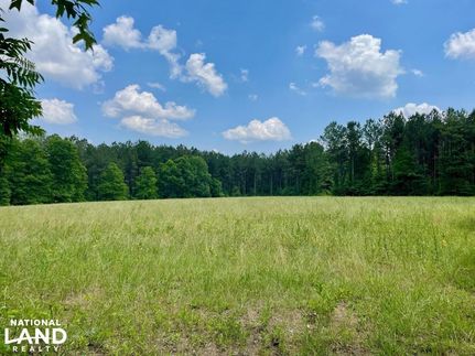 Timberland Property in Sumter County, Alabama