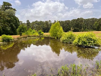 Recreational Property in Walker County, Texas