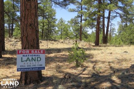 Hunting Property in Cibola County, New Mexico