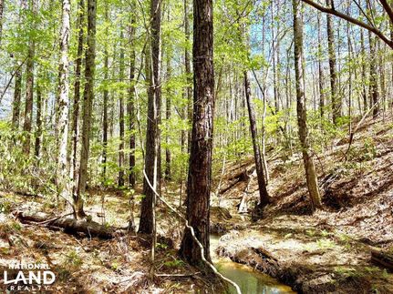 Timberland Property in Tuscaloosa County, Alabama