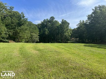Undeveloped Land in Shelby County, Alabama
