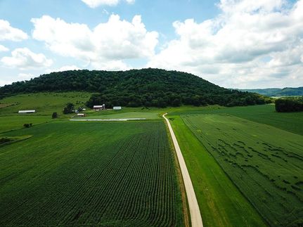 Timberland Property in Fillmore County, Minnesota