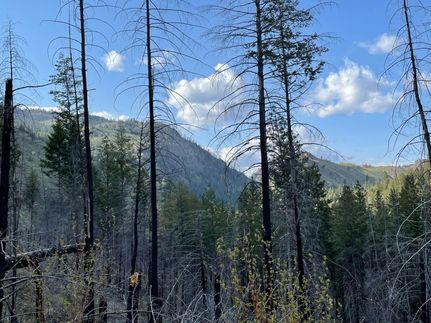Recreational Property in Okanogan County, Washington