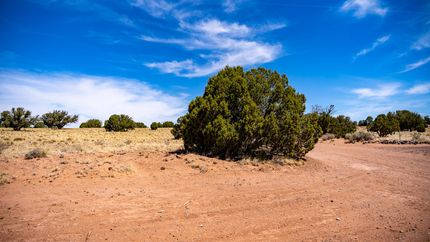Undeveloped Land in Apache County, Arizona