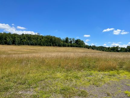 Undeveloped Land in Indiana County, Pennsylvania