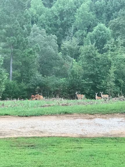 Farm and Ranch in Franklin County, Tennessee