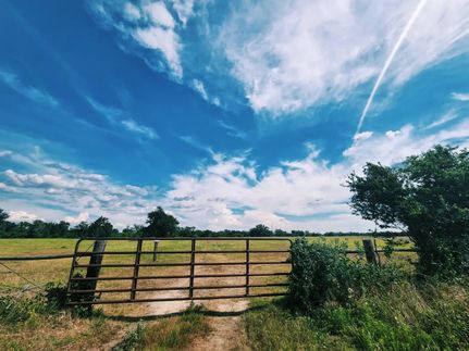 Farm and Ranch in Washington County, Texas