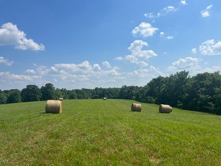Farm and Ranch in Fayette County, Tennessee