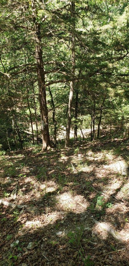 Farm and Ranch in Marion County, Arkansas