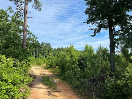 Recreational Property in Dinwiddie County, Virginia
