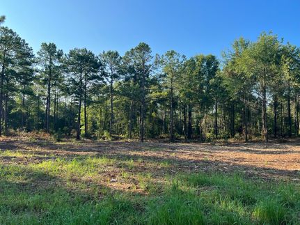 Recreational Property in Pike County, Alabama