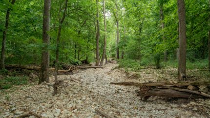 Undeveloped Land in Douglas County, Missouri