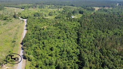 Recreational Property in Sumter County, Alabama