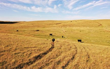 Recreational Property in Custer County, Nebraska