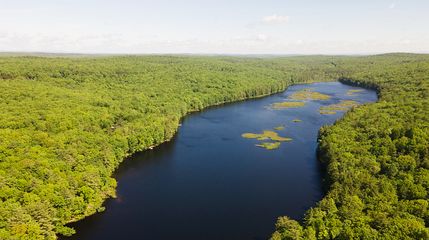 Undeveloped Land in Pike County, Pennsylvania