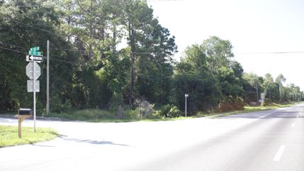 Timberland Property in Alachua County, Florida