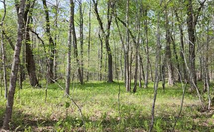 Timberland Property in Scott County, Tennessee