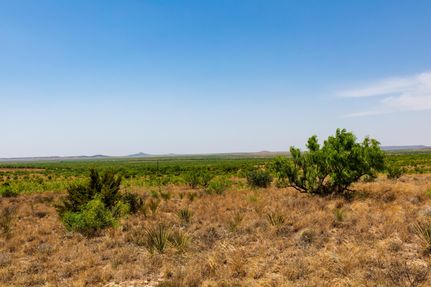 Farm and Ranch in Borden County, Texas