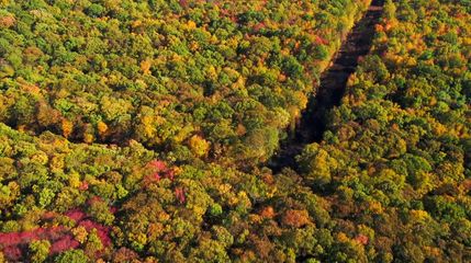 Undeveloped Land in Carbon County, Pennsylvania