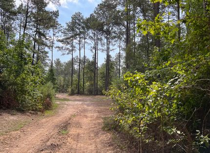 Farm and Ranch in Tyler County, Texas