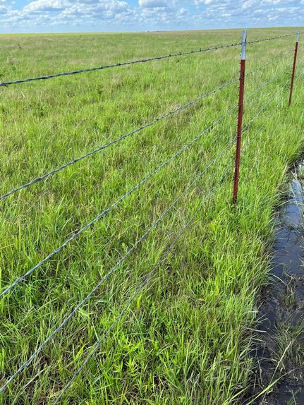Timberland Property in Coffey County, Kansas