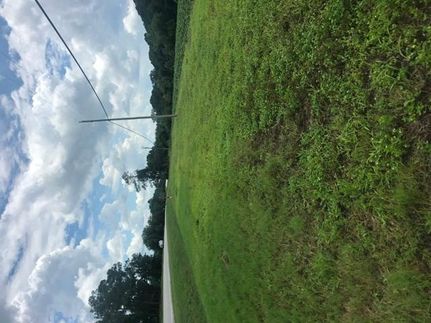 Land in Evans County, Georgia