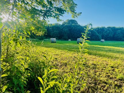 Farm and Ranch in Bates County, Missouri