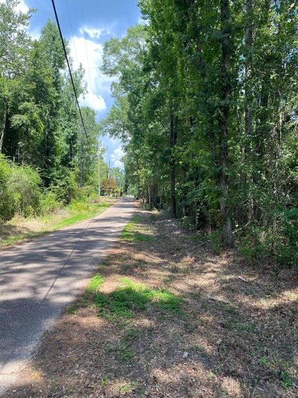 Undeveloped Land in Perry County, Mississippi