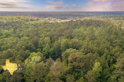 Undeveloped Land in Chambers County, Texas
