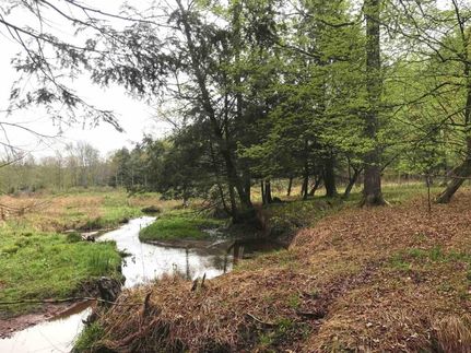 Land in Sullivan County, New York