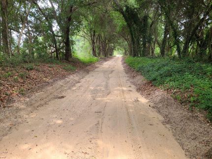 Land in Orangeburg County, South Carolina