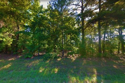 Undeveloped Land in Marion County, Texas