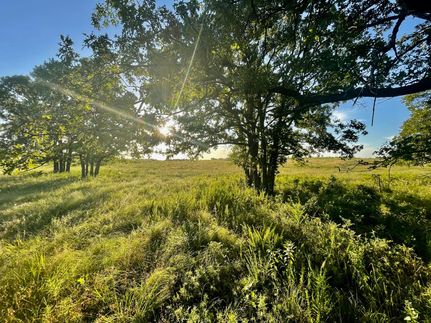 Undeveloped Land in Okfuskee County, Oklahoma
