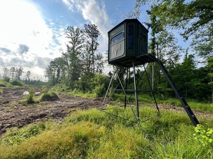 Undeveloped Land in East Feliciana Parish, Louisiana