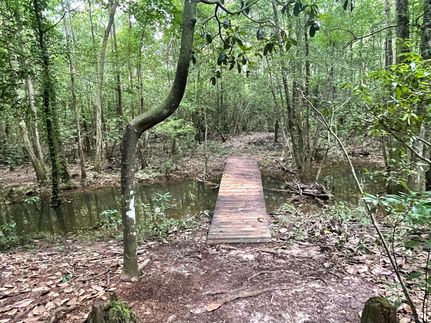 Horse Property in Escambia County, Florida