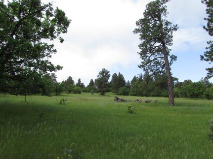 Farm and Ranch in Crook County, Wyoming