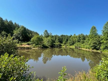Farm and Ranch in Benton County, Mississippi