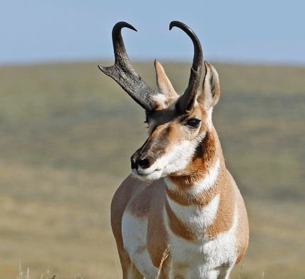 Land in Costilla County, Colorado