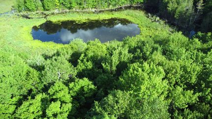 Timberland Property in Forest County, Wisconsin